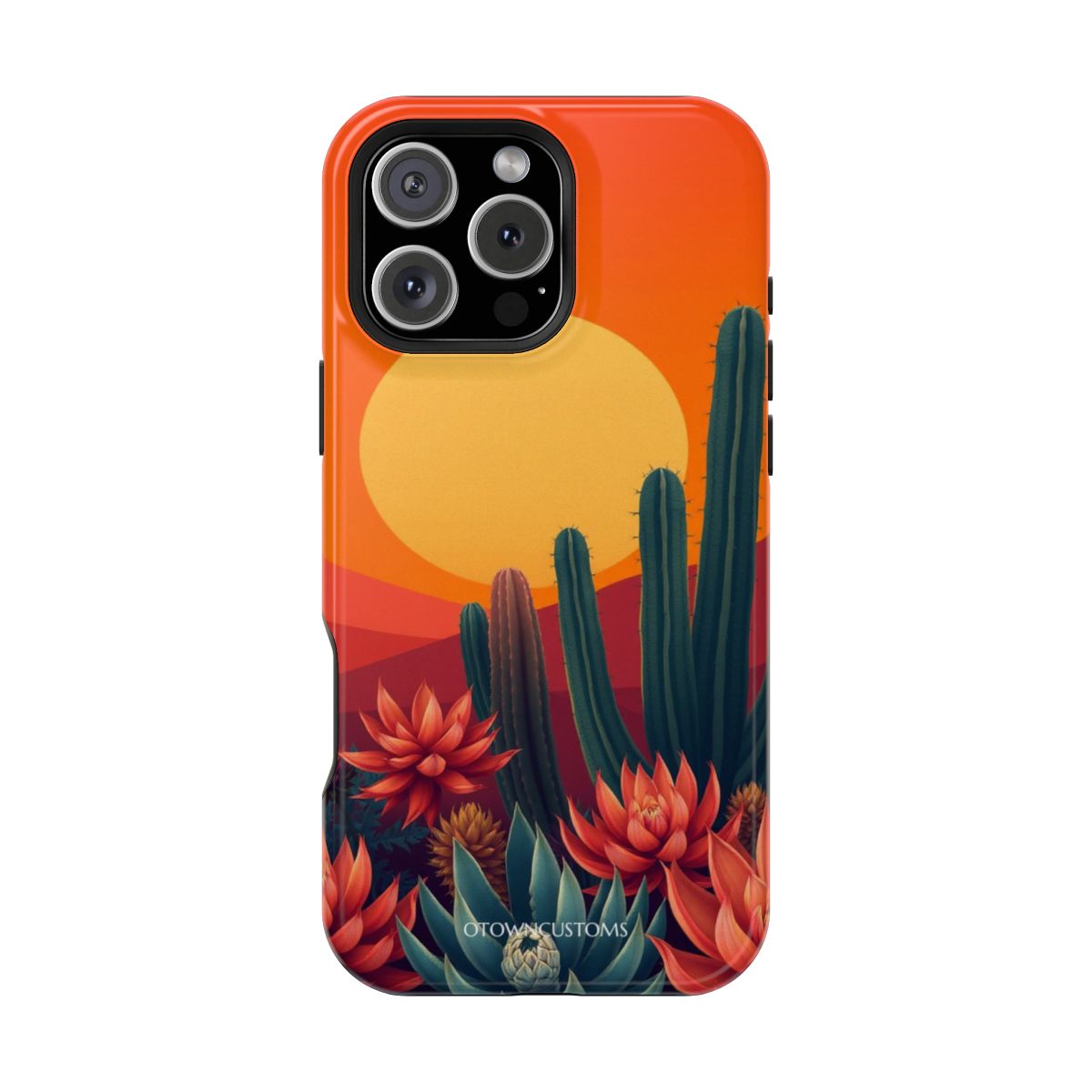 Desert Succulent Garden Sunset Scene